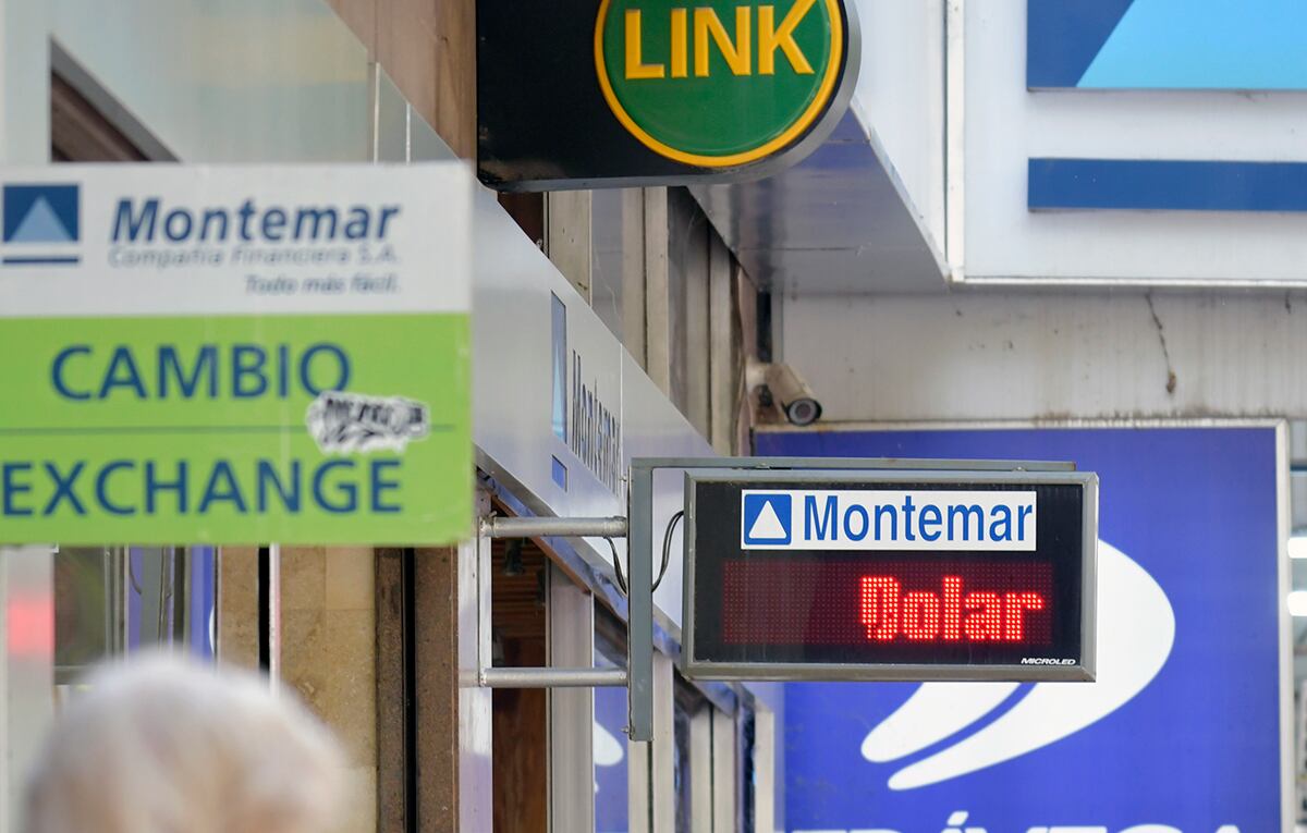 Dólar blue en Córdoba: en cuánto cerró la divisa este miércoles 13 de agosto