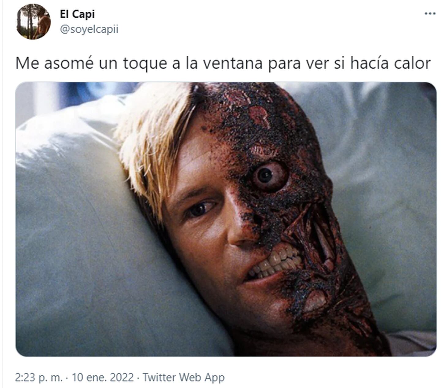 Memes ola de calor