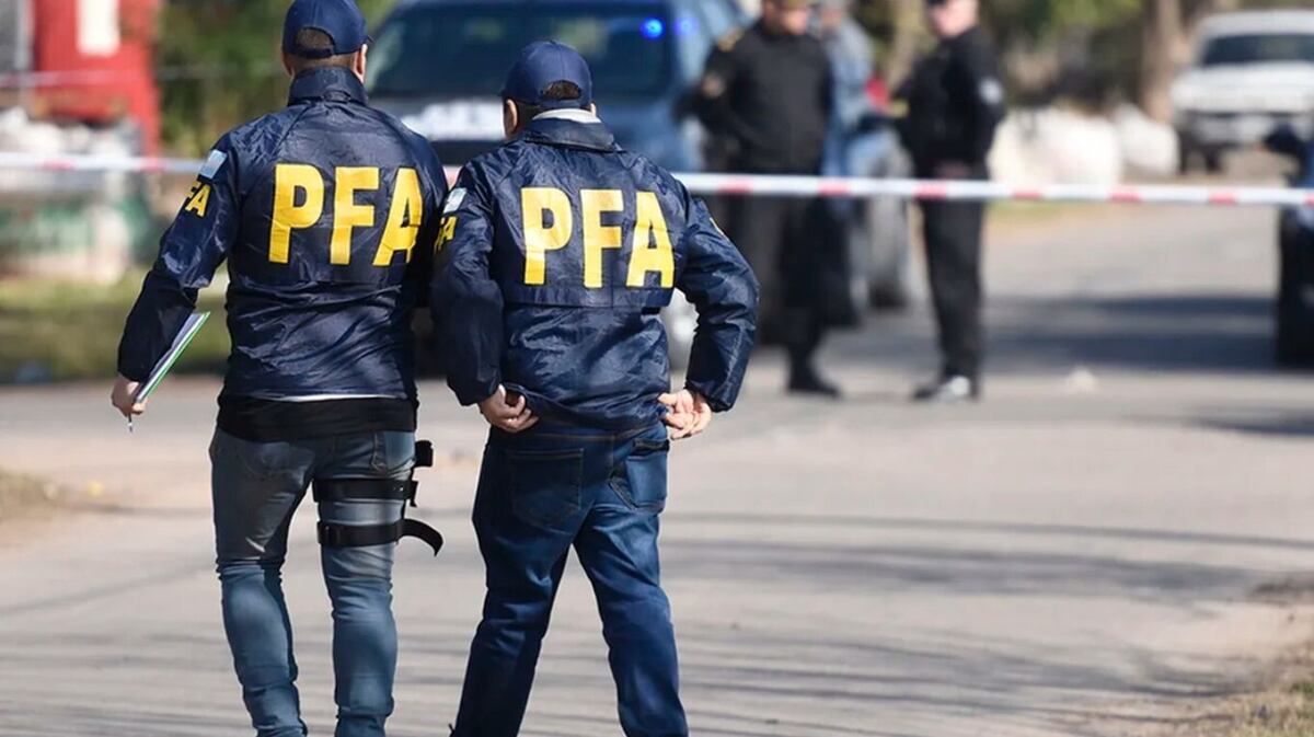 Un cuartetero de Córdoba fue detenido por cultivar más de 40 plantas de marihuana en su casa