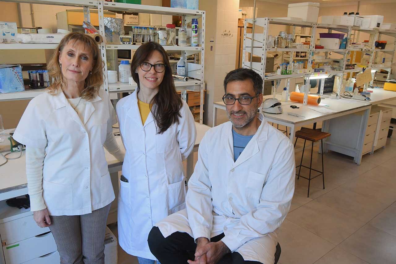 Científicos mendocinos de la UNCuyo y CONICET, ayudana entender cómo se produce una fecundación exitosa.
Silvia Belmonte, Bioquímica y Doctora en Bioquímica y directora del equipo de científicos junto aCintia Vaquer bióloga molecular y doctora en Ciencias Biológicas y Martín Pavarotti, bioquímico y Doctor en biología en el laboratorio del Instituto de Histología y Embriología de la Facultad de Ciencias Médicas de la UNCUYO

Foto: José Gutierrez / Los Andes 