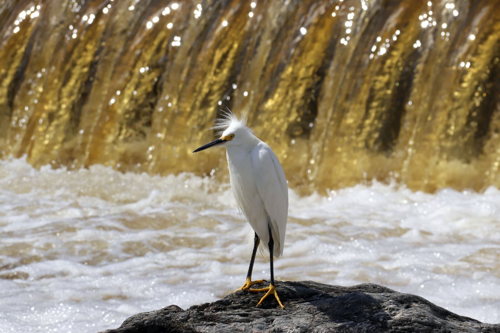 Río El Fantasio, Carlos Paz