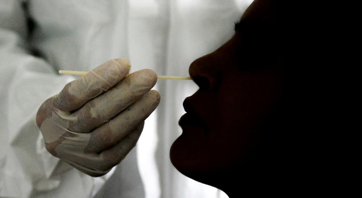 Coronavirus en Tandil: se registraron 81 nuevos casos