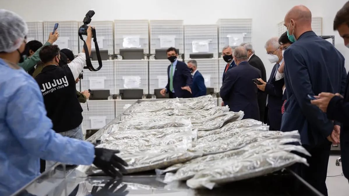 El presidente del directorio de Cannava, Gastón Morales, condujo la recorrida por las nuevas instalaciones.