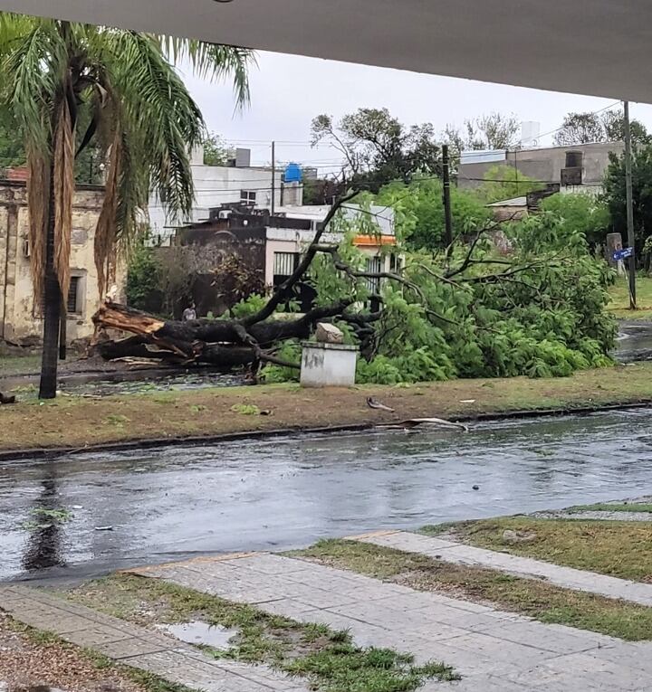 Temporal en Victoria