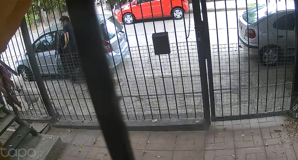 Un dogo atacó a una menor en Villa Carlos Paz