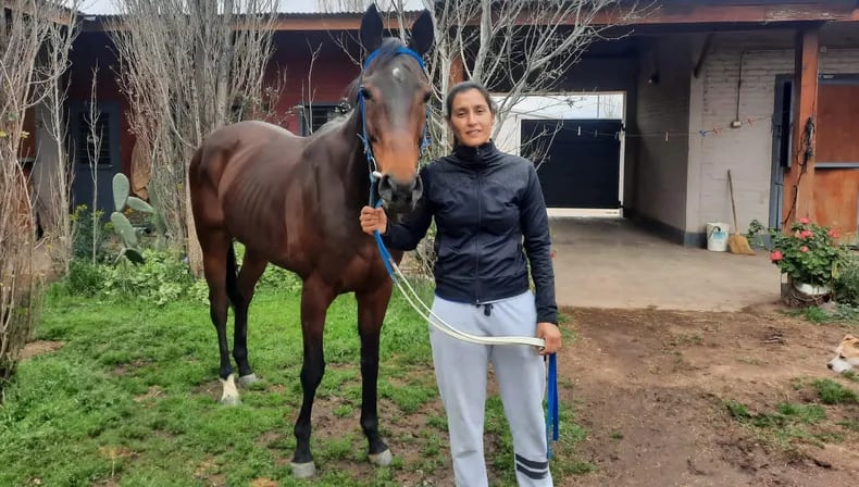 El caballo en San Juan que ayuda a su cuidador con mal de Parkinson.