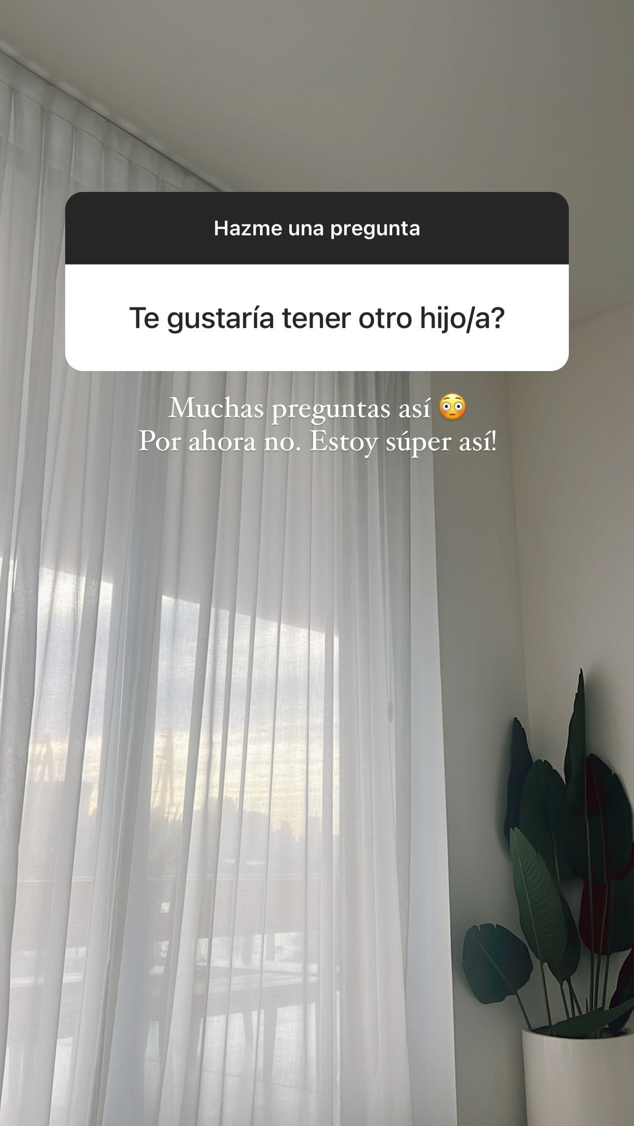 Camila Homs habló de la posibilidad de tener otro hijo