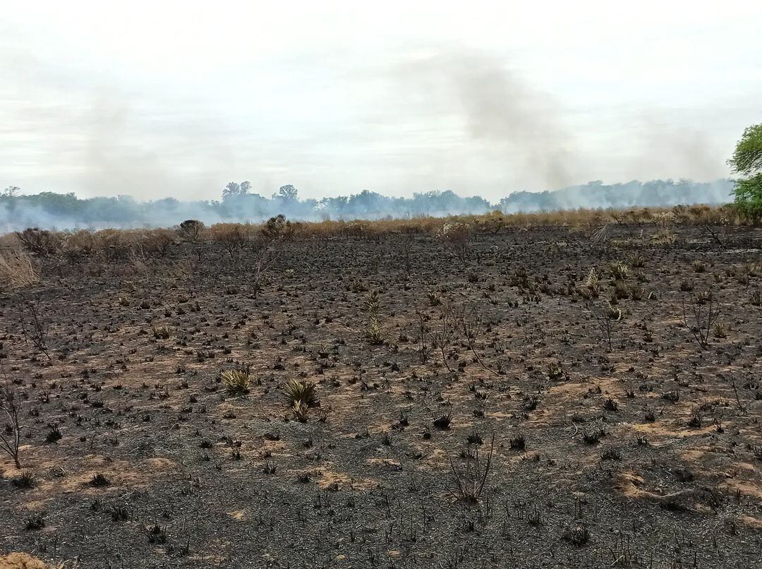 Incendio de pastizales Bomberos de Arroyito