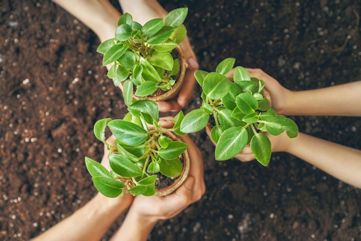 Ushuaia: programa de educación ambiental “De la escuela a la ciudad”