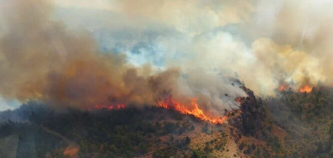 Incendios en Parque Nacional Los Alerces.