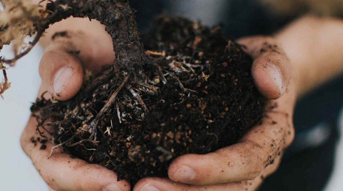 El compost y su interacción con la producción de los cultivos