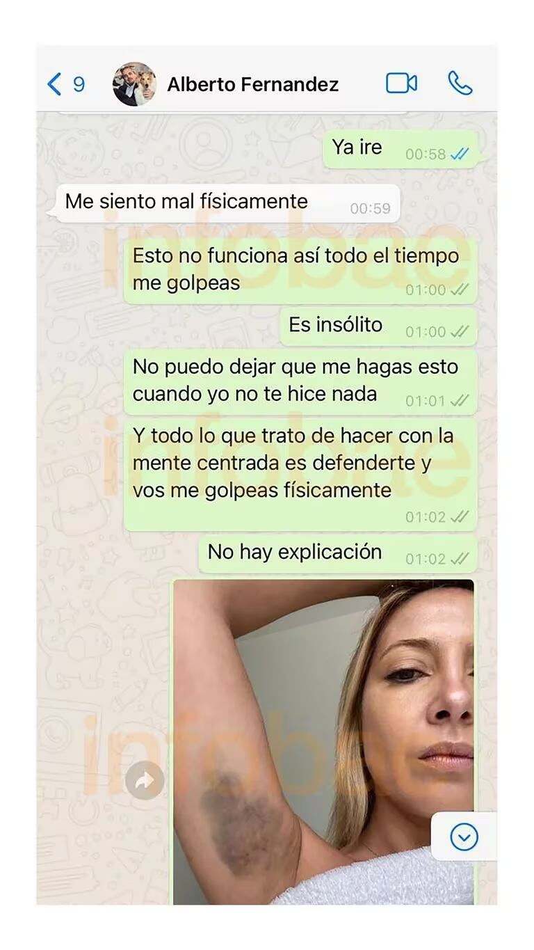 Los chats entre Alberto Fernández y Fabiola Yañez. (Infobae)