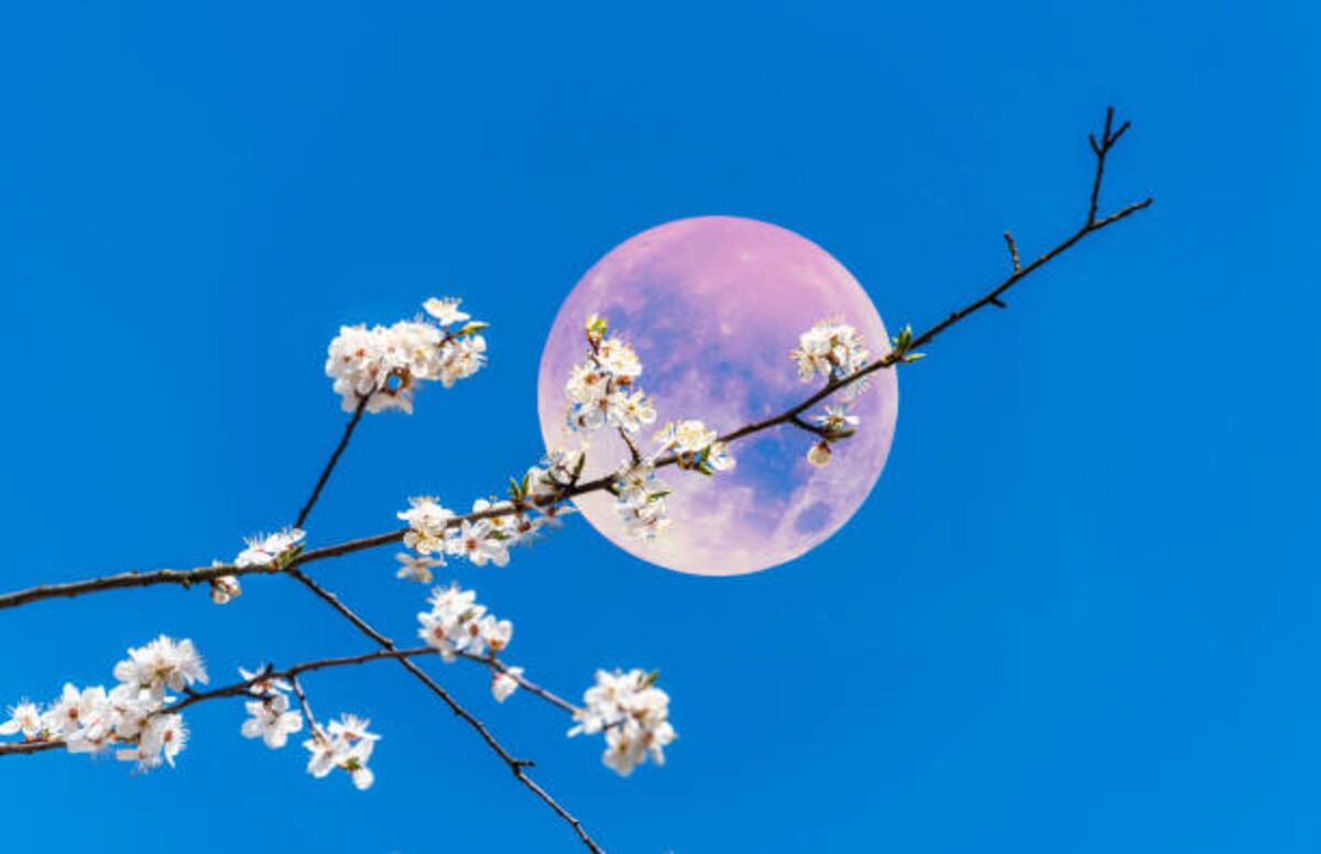 Cuándo será la Luna Rosa de abril y qué rituales hacer para atraer el amor