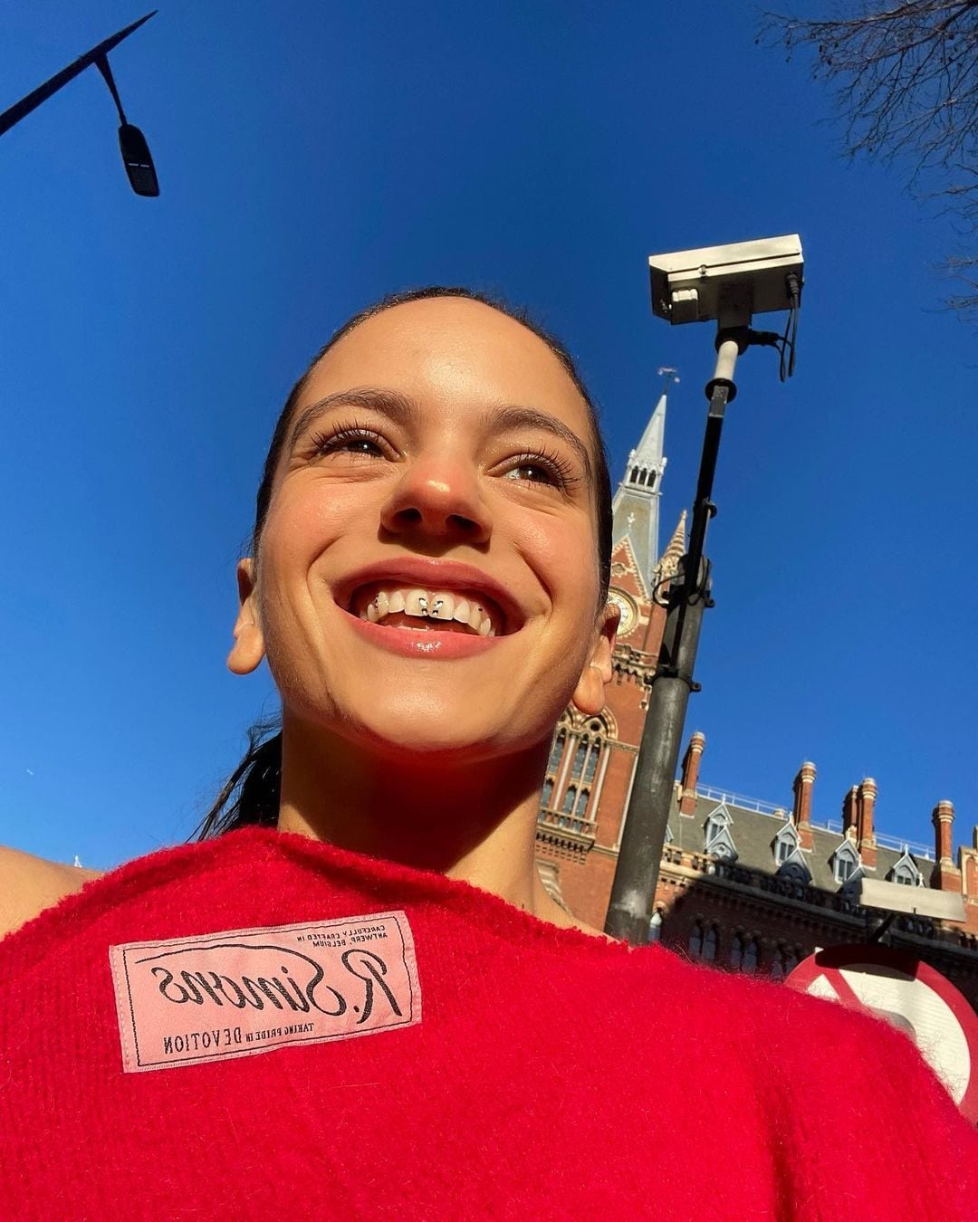 Rosalía utilizando gemas en los dientes con forma de mariposa.