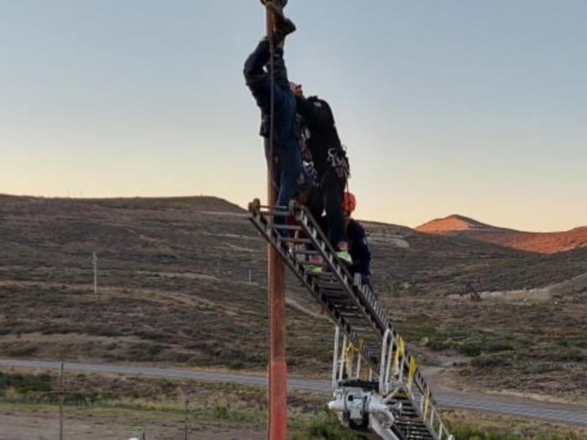 El hombre había querido robar cables de un poste de luz en Rada Tilly, se electrocutó y quedó colgado durante horas. Fue hospitalizado y le imputaron el brazo,