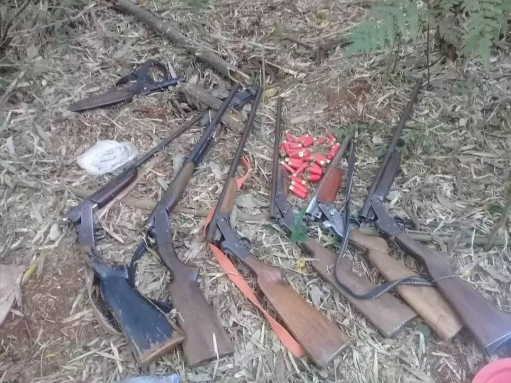 Armas secuestradas en el procedimiento.