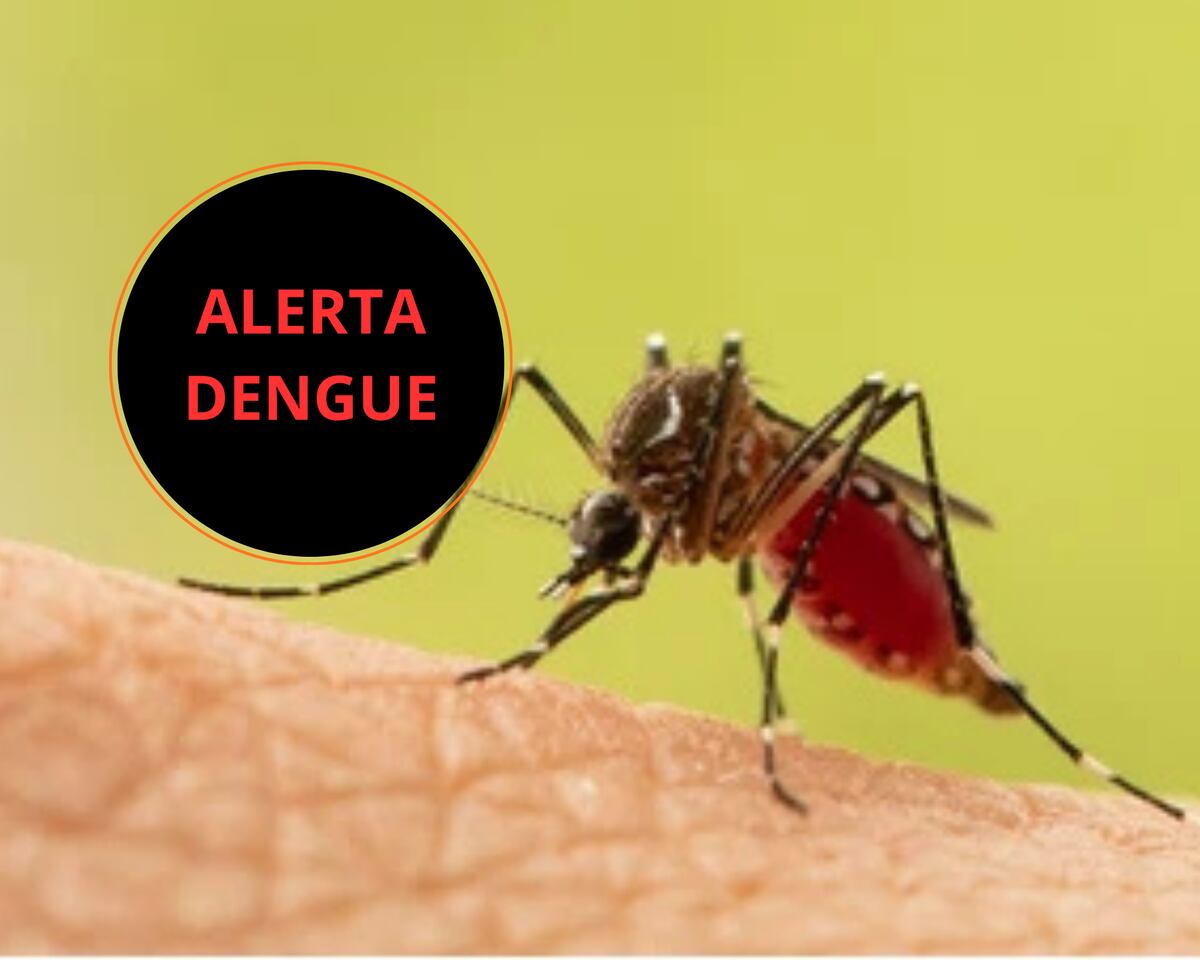 Confirman un nuevo contagio de dengue y se refuerza la atención sanitaria en Entre Ríos