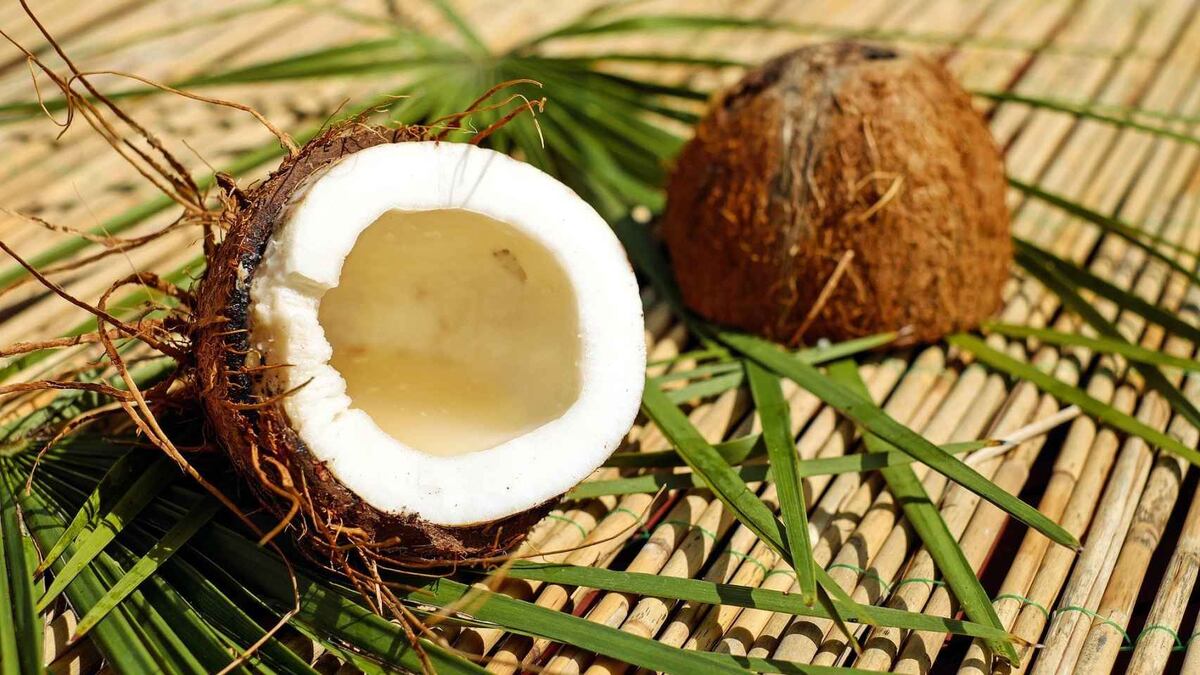 Día Mundial del Coco: tres recetas infalibles para celebrar este fruto