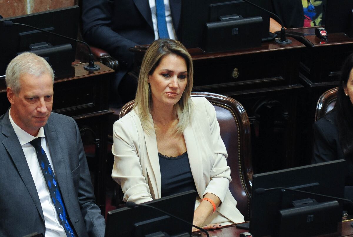 Carolina Losada culpó al oficialismo por el fracaso de la ley de humedales