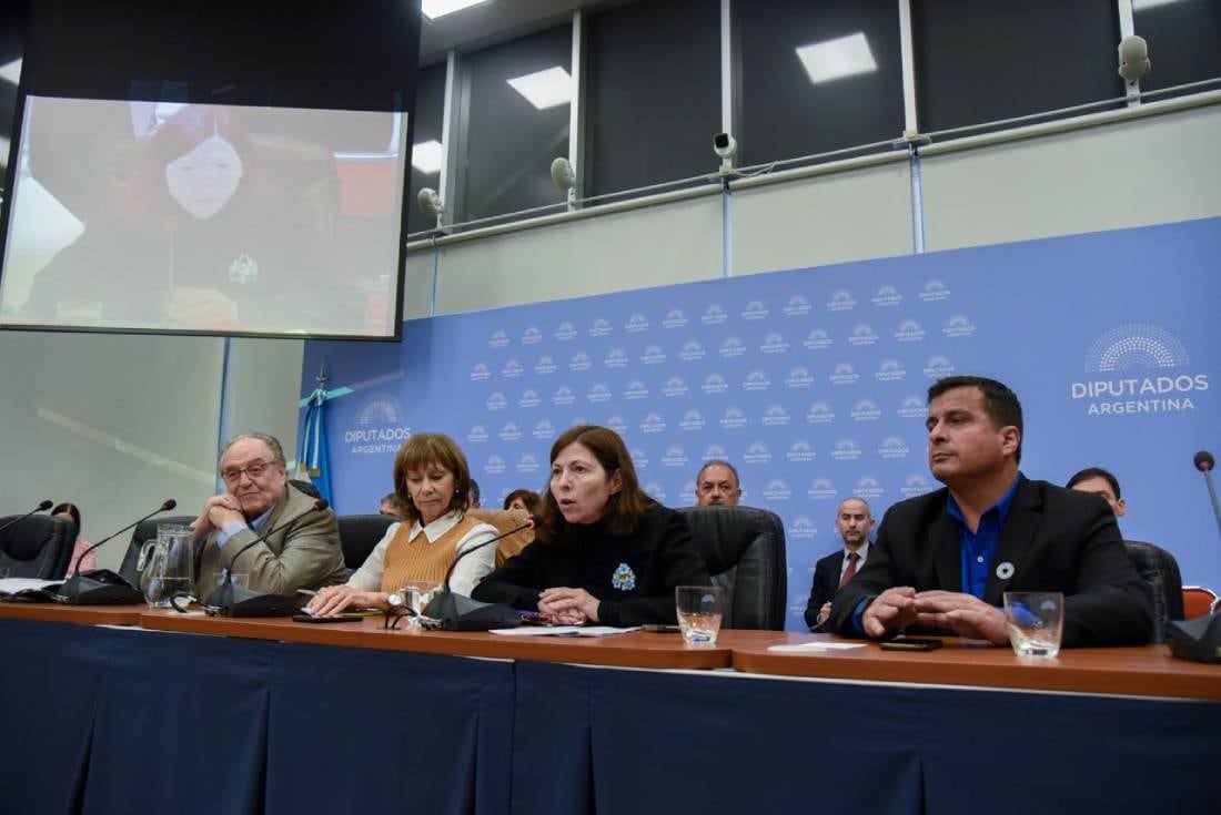 La presidenta del Banco Nación, Silvina Batakis, habló en la reunión de comisiones.