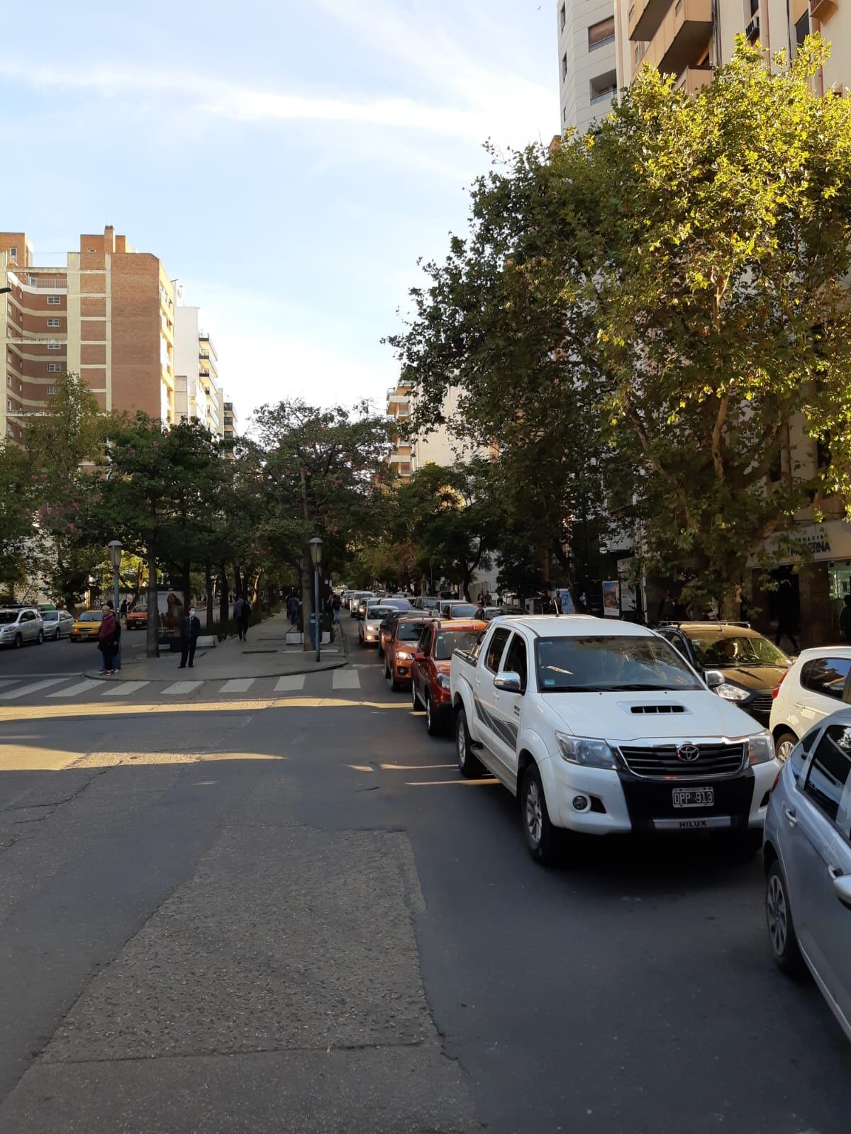 En avenida Chacabuco trabajan para extender el cantero central.