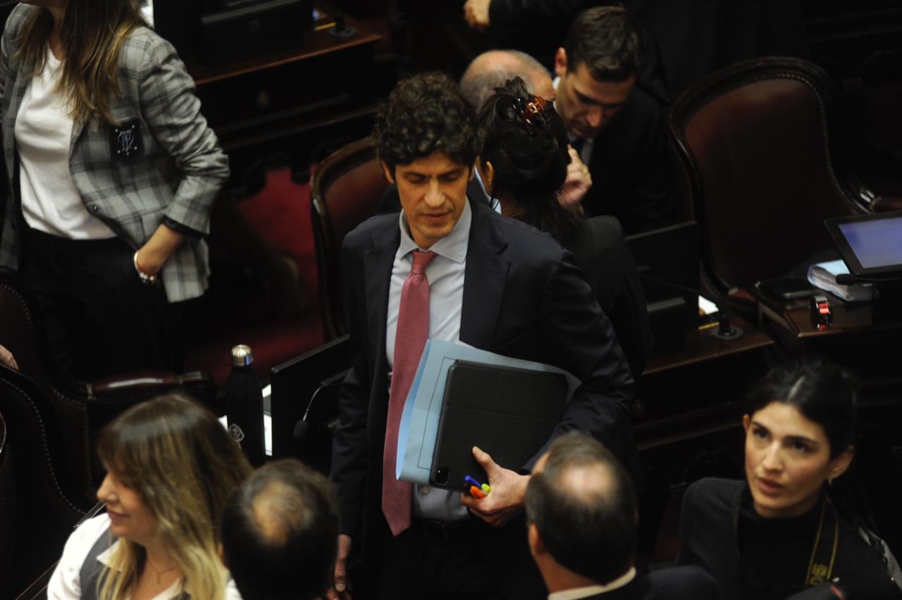 martin lousteau sesion senado ley bases