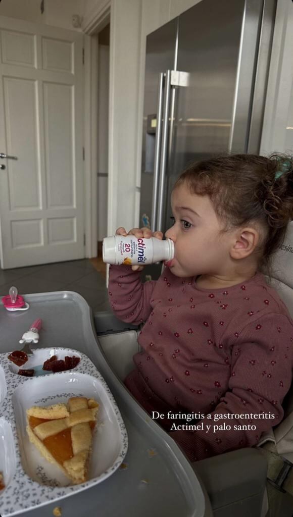 Agustina Gandolfo publicó en historias de Instagram que Nina habría estado enferma estos últimos días. 