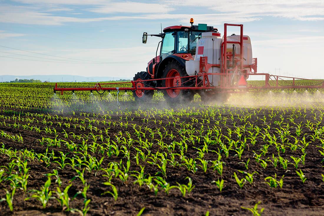 Tractor spraying young corn with pesticides