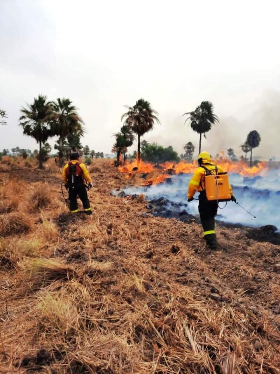 Brigadistas combaten distintos incendios en Formosa.