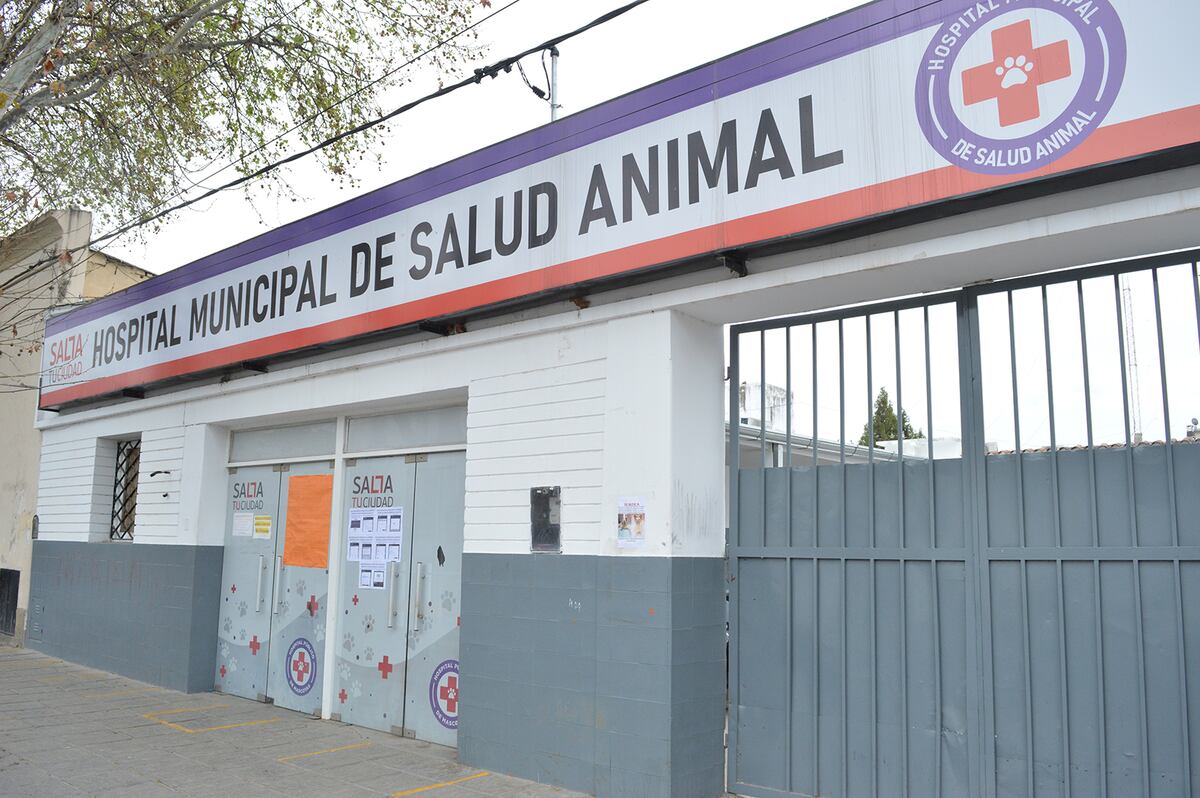 El Hospital de Salud Animal activó el protocolo de coronavirus por un caso positivo