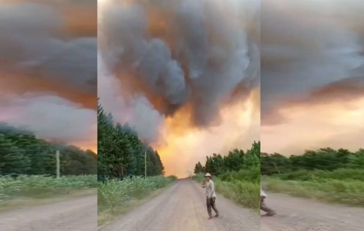 La foto viral de la bombera correntina que rescató a un nene en un incendio