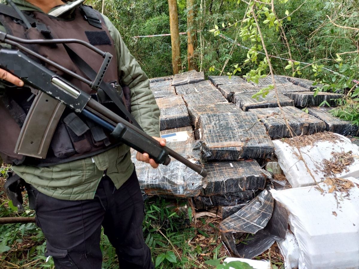 Incautaron casi seis toneladas de marihuana en Garuhapé-Mí.