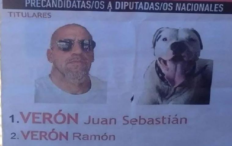 Los mejores memes que dejaron las PASO 2023