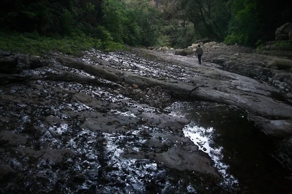 De concretarse, el río San Francisco sería el primer "paisaje protegido fluvial" de Argentina y América Latina, sentando un valioso precedente para la conservación y el desarrollo sostenible de un área de enorme valor en términos ecosistémicos, y un modelo de gobernanza ambiental intersectorial.