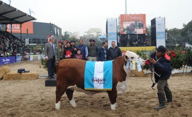 La Rural: coronaron ejemplares Braford de Córdoba, Corrientes y Santa Fe