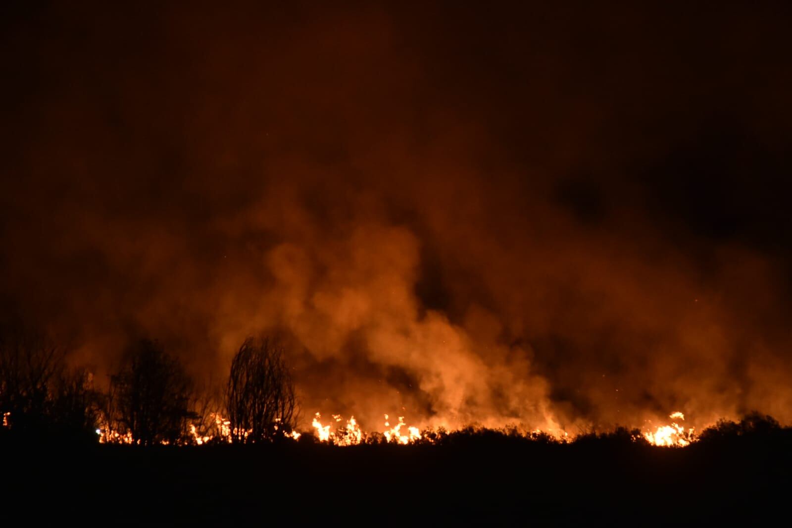 Continúa el incendio en los pastizales de Fuerza Aérea de Córdoba. (Facundo Luque/La Voz)