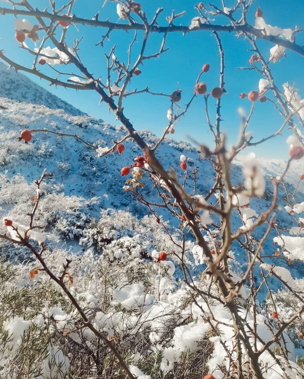 Primera nevada del mes de julio.