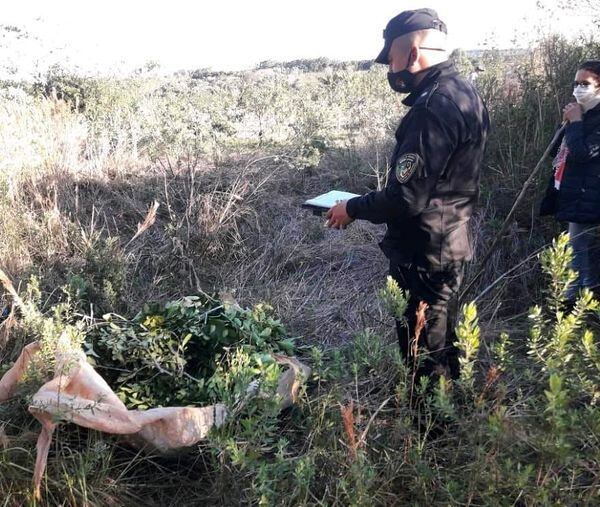 Aristóbulo del Valle: recuperan raídos de yerba y detienen a un hombre.