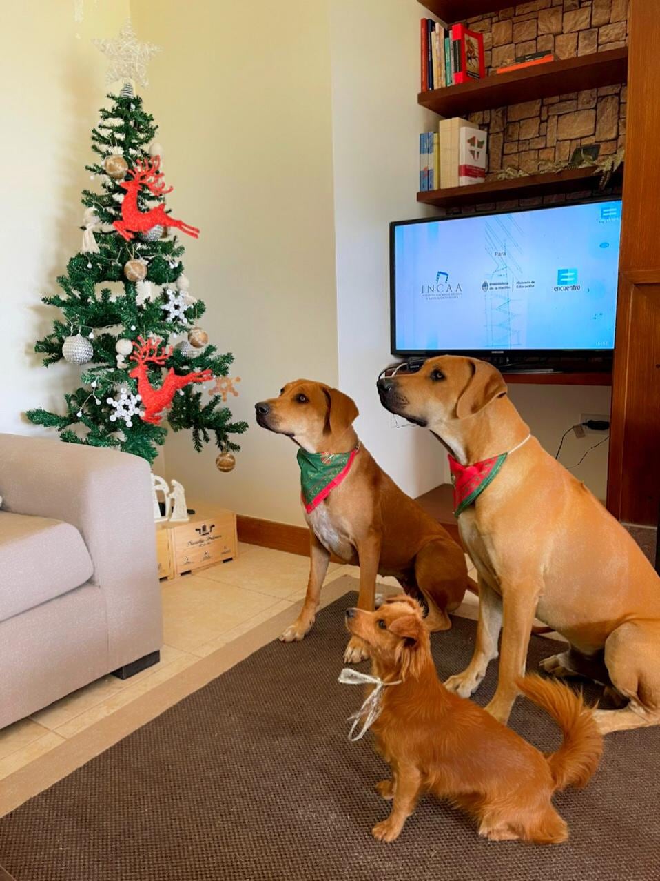 Lola y sus hermanitos. 