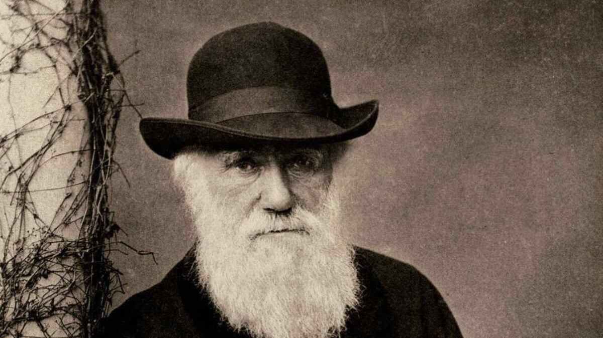 Comenzó el mes de Darwin en Punta Alta