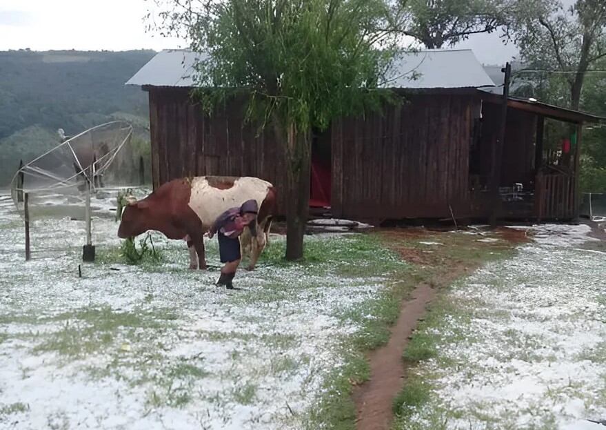 Piden que Nación declare la Emergencia Agropecuaria por 180 días en Misiones.