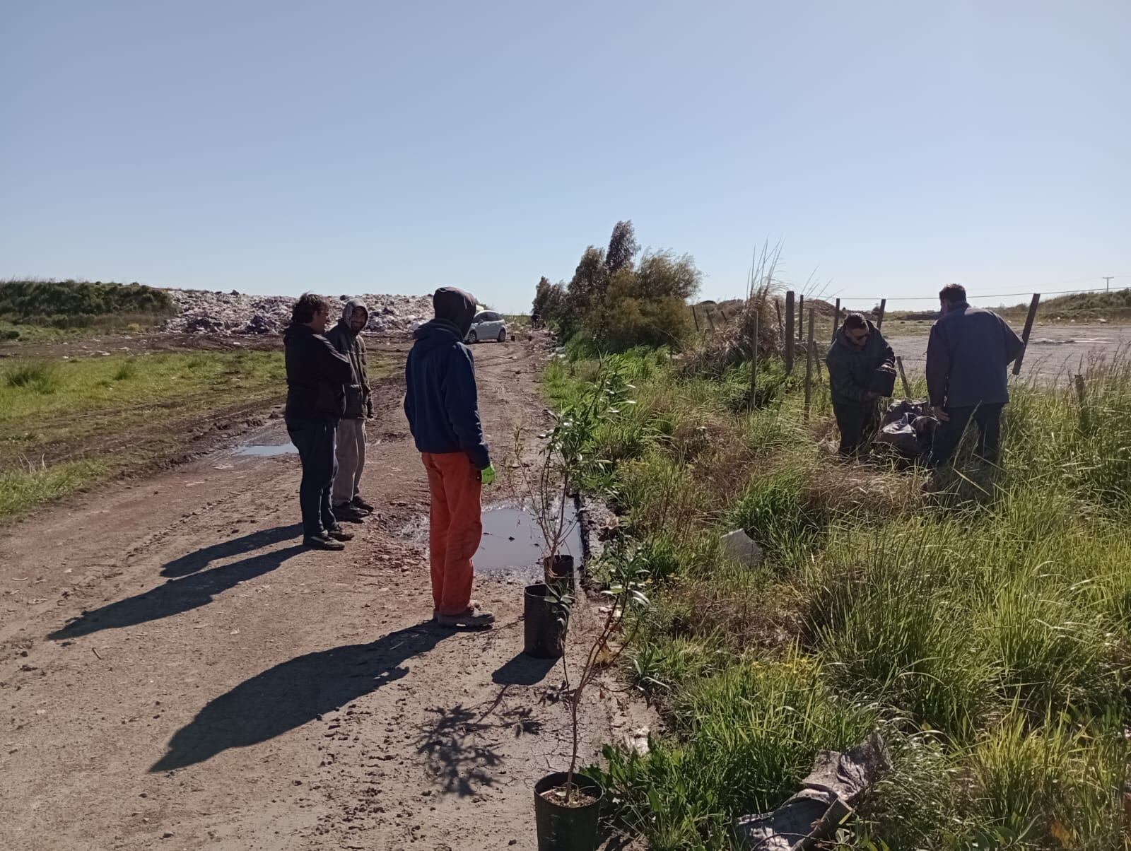 Jornada de forestación en el predio de la Planta de Separación de Residuos de Bellocq