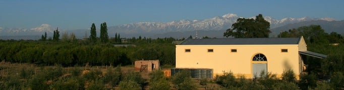 Bodega Carinae, Cruz de Piedra, Maipú, Mendoza.