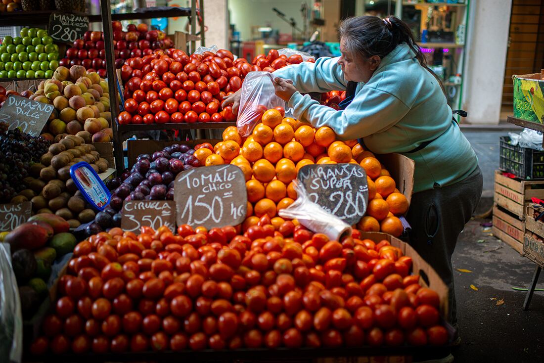 Frutas y verduras, dentro de rubro Alimentos, fueron las que mayores aumentos registraron, al igual que la carne. 