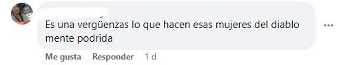 Comentario de usuarios/as de Facebook contra manifestantes de "Ni Una Menos"