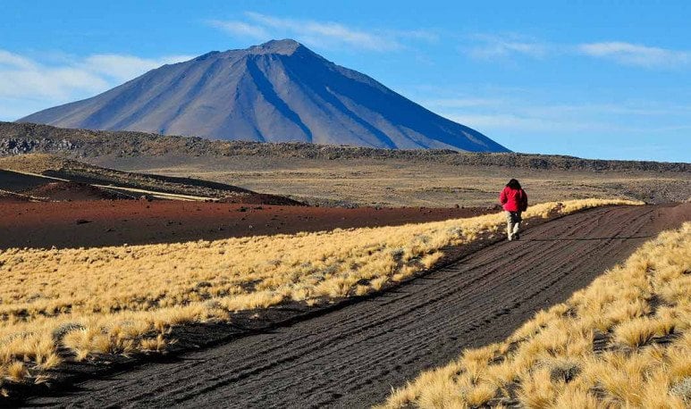 La Payunia se caracteriza por sus campos volcánicos.