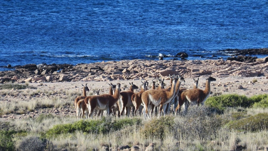 El Congreso aprobó la creación de un nuevo Parque Nacional en Río Negro.