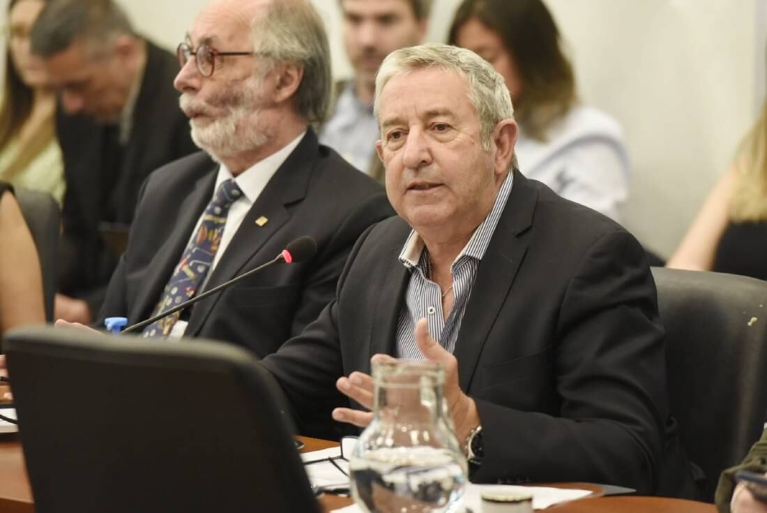 Julio Cobos, autor de uno de los proyectos sobre registro único de deudores alimentarios (Foto: HCDN)