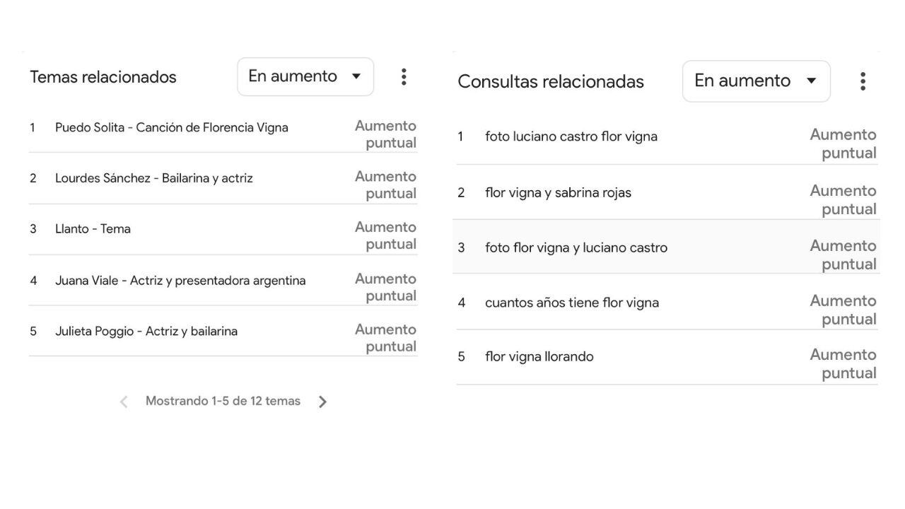 Temas y consultas relacionadas sobre Flor Vigna.