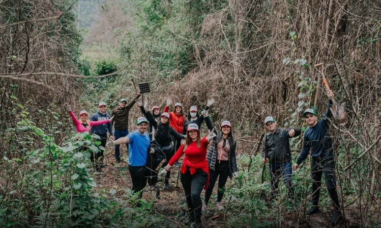 Realizan plantación masiva de árboles en Cerro Corá.